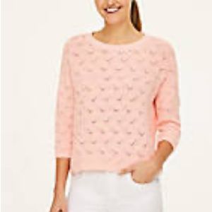 LOFT Pointelle Sweater
